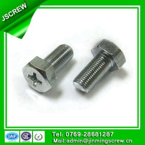 Special Customized Ss316 Stainless Steel Bolts for Furniture